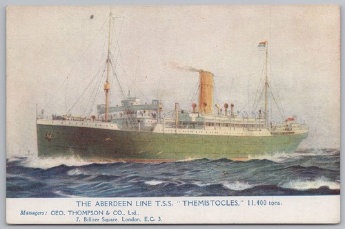Themistocles aberdeen white - ss,