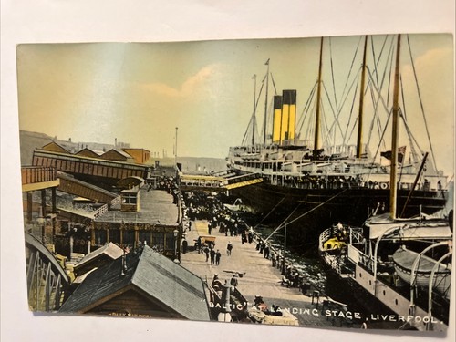 White star line baltic - white,