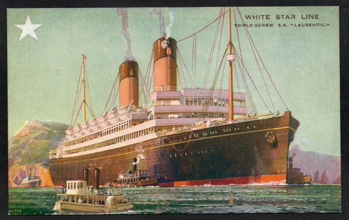 Postcard white star line - postcard,
