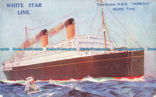 R633258 white star - line., twin